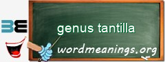 WordMeaning blackboard for genus tantilla